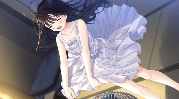 图片[6]-痴情哥哥与病弱妹妹的乡间生活 STEAM版＋DL版+特典+全DLC 官中[PC/4.5G/更新]-乐游二次元
