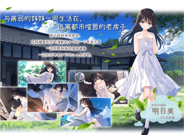 图片[5]-痴情哥哥与病弱妹妹的乡间生活 STEAM版＋DL版+特典+全DLC 官中[PC/4.5G/更新]-乐游二次元